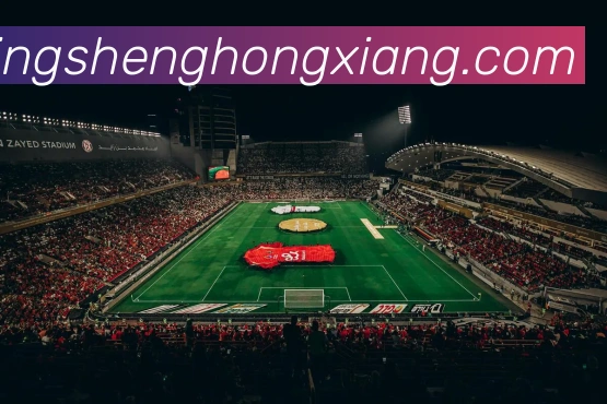 国羽双打教练组大换血，雅思组合还能否重现巅峰？